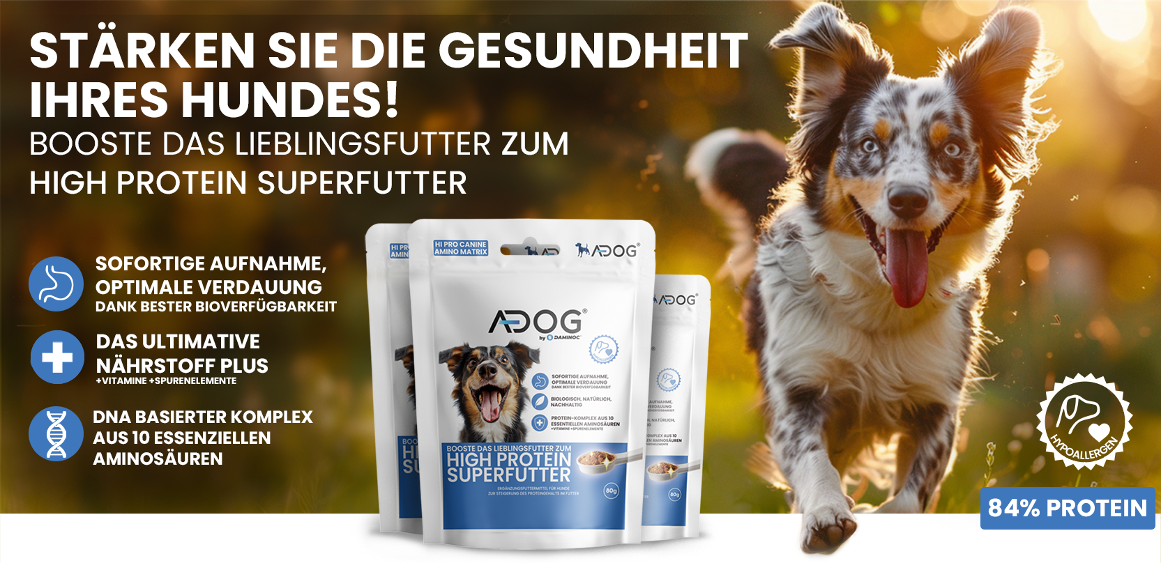A Dog banner Hund und das A dog produkt mit dem Text Stärken sie die gesundheit ihres Hundes!