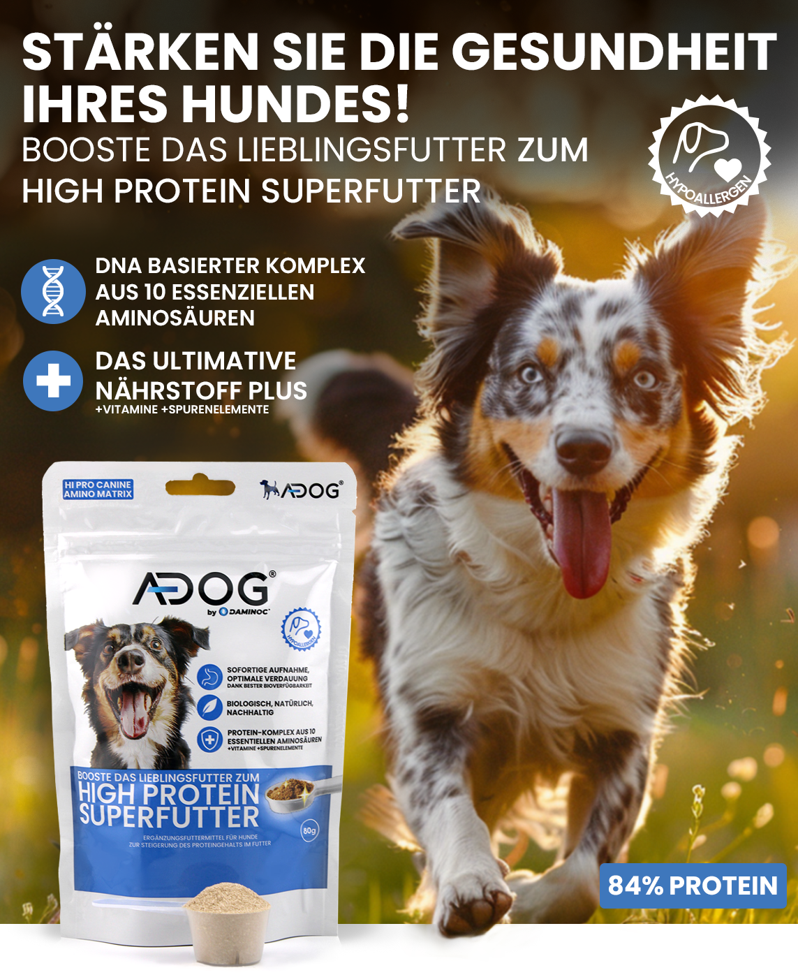 A dog banner bild. Ein Hund und das A dog produkt bild mit dem text: stärken sie die gesundheit ihres Hundes!