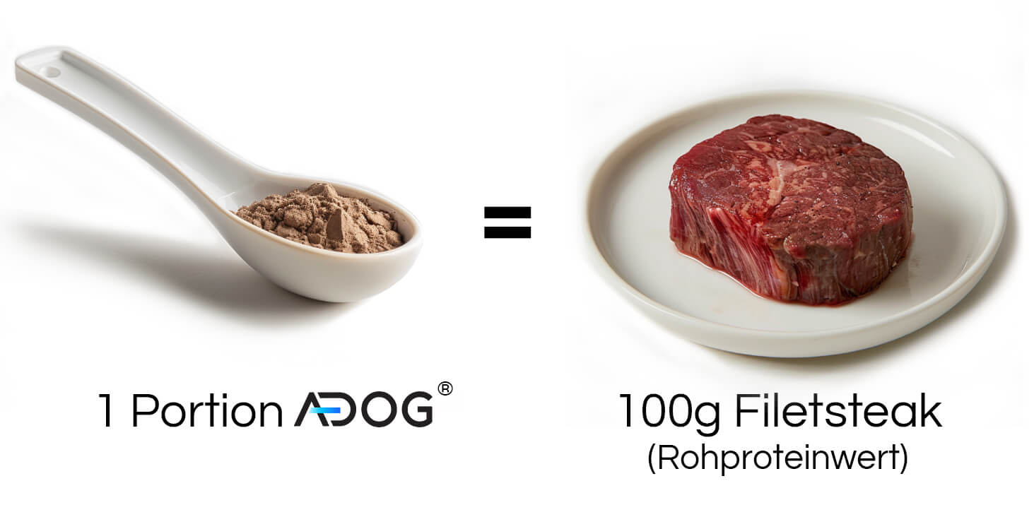 Ein Löffel 'A Dog' Hundenahrungsergänzung enthält so viel Protein wie ein 100 g Filetsteak – eine proteinreiche Ergänzung für deinen Hund.