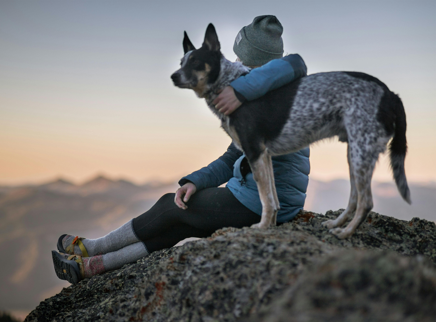 Hundebesitzer genießt die Zeit mit seinem Hund auf einem Berg, symbolisiert die Freude an aktiven Outdoor-Aktivitäten und gesunder Hundeernährung.