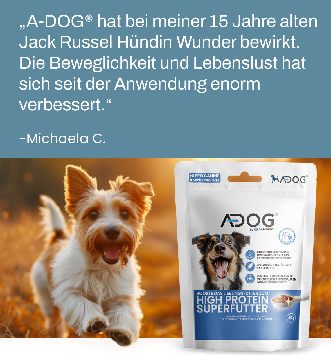 Bild zeigt einen Hund mit der Bewertung: 'A-DOG® hat meiner 15-jährigen Jack Russell Hündin unglaublich geholfen. Ihre Lebensfreude und Beweglichkeit sind seit der Anwendung zurückgekehrt.' - Michaela.